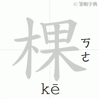 棵造詞